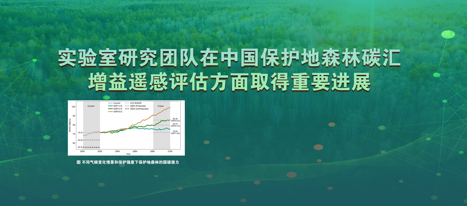 实验室研究团队在中国保护地森林碳汇增益遥感评估方面取得重要进展