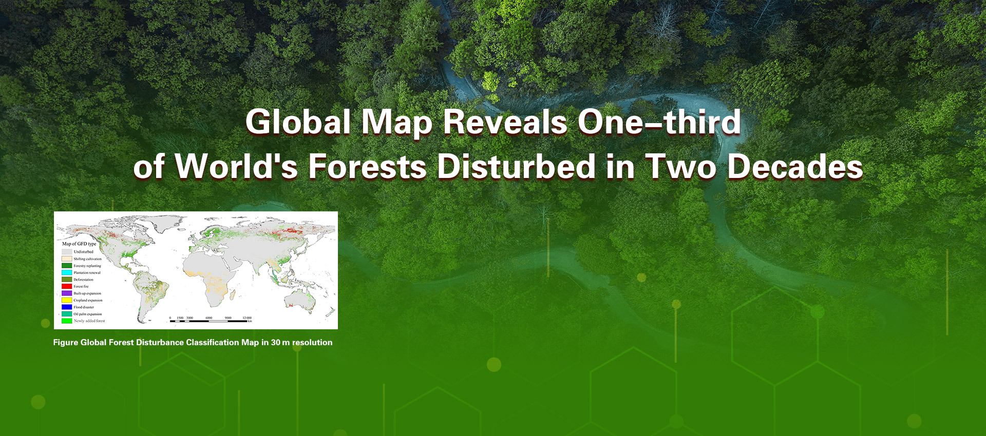 Global Map Reveals One-third of World's Forests Disturbed in Two Decades