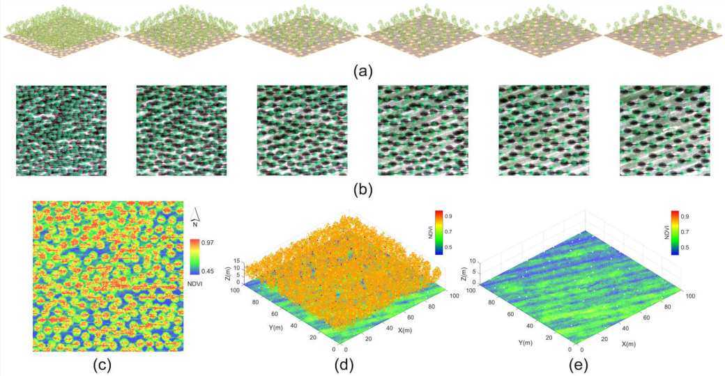 Hyperspectral LiDAR Reveals Soil Properties Beneath Vegetation Canopies