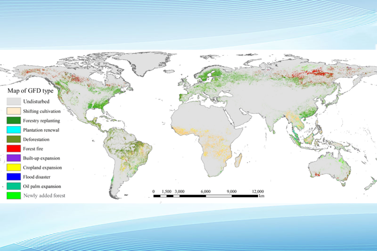 实验室发布全球高分辨率森林扰动类型数据集